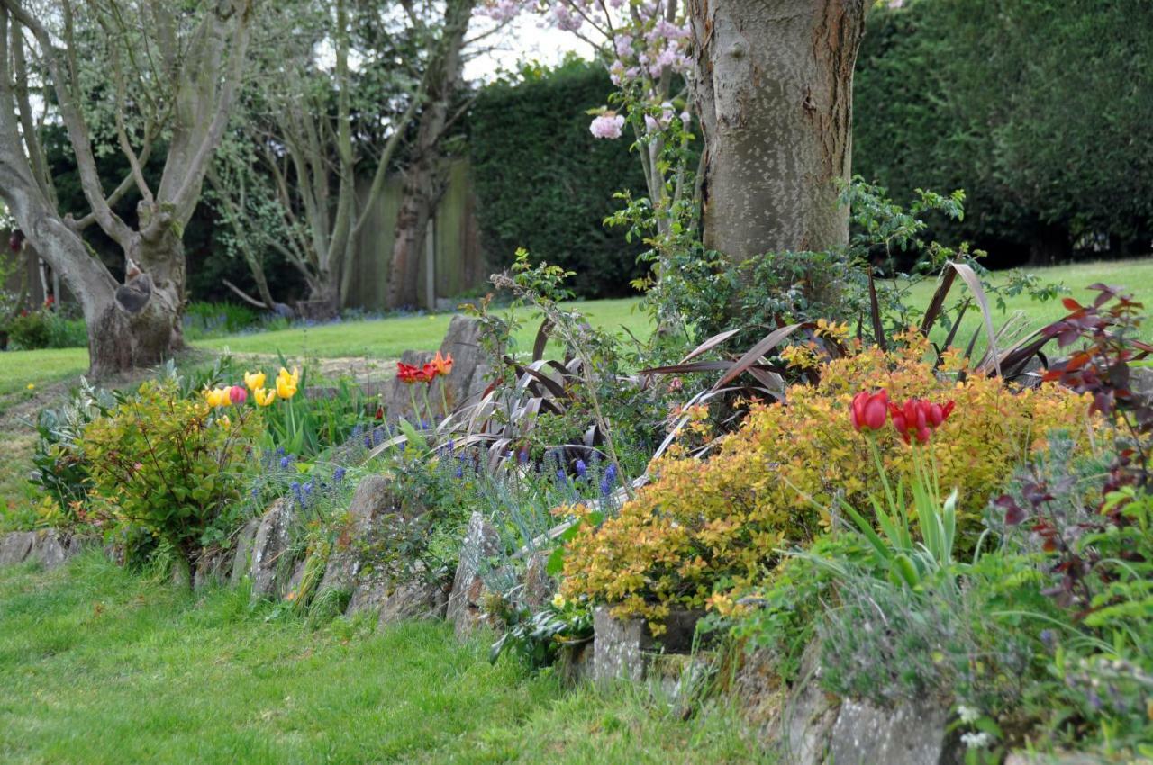 Guest house Bridleways & Homes
